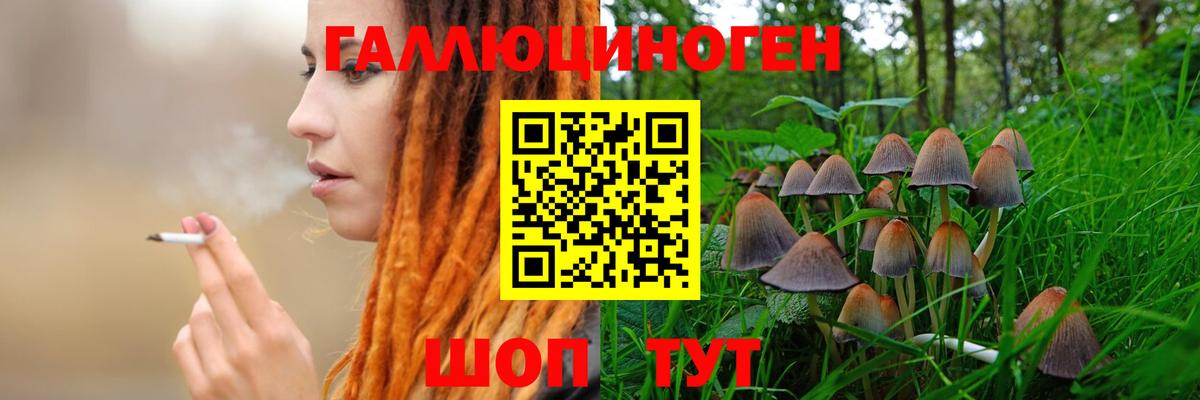 Галлюциногенные грибы мухоморы  Галлюциногенные грибы прущие грибы  Лесосибирск  дарнет шоп  Вход с VPN 